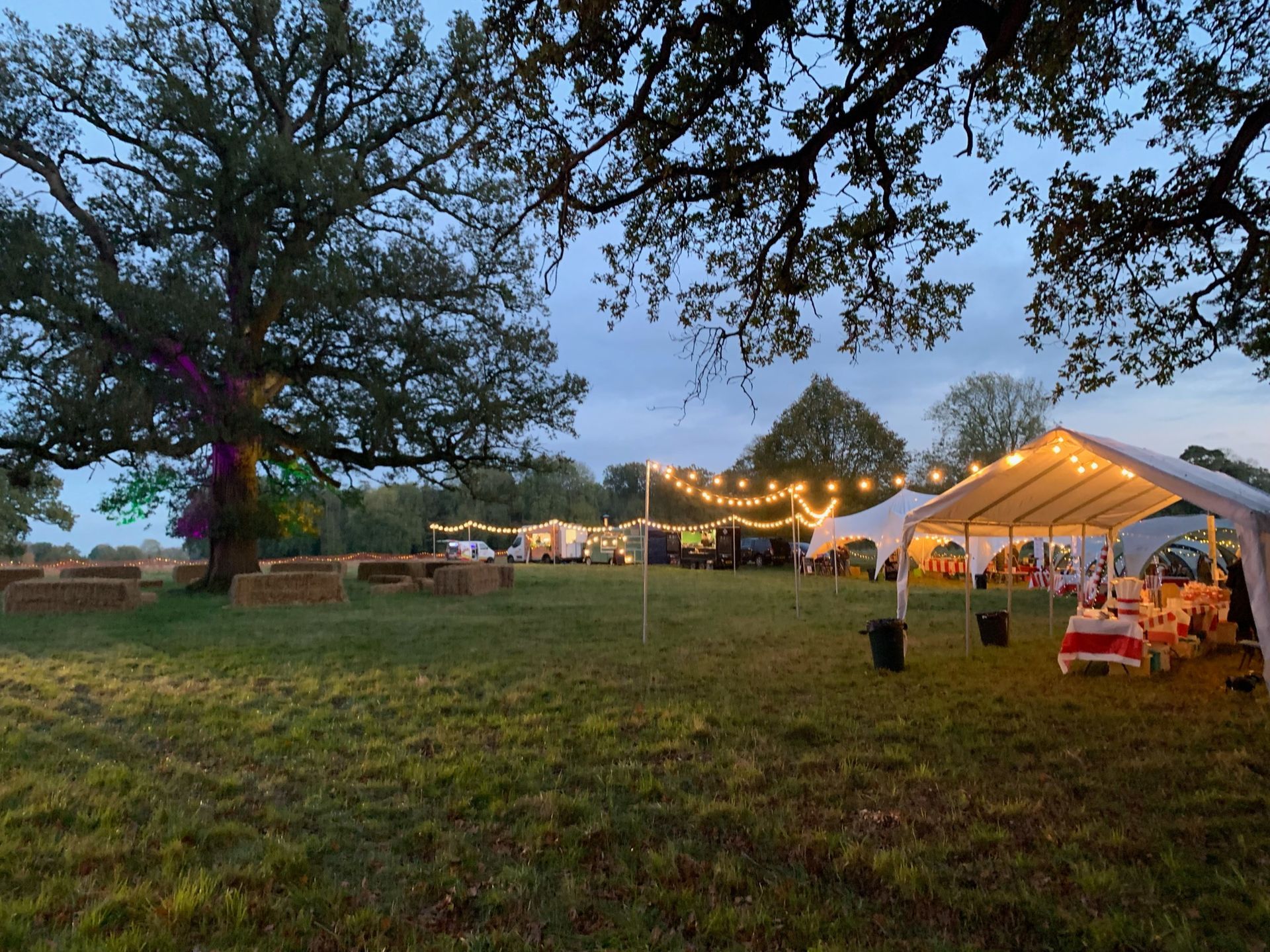 Outdoor event with tents, string lights, tables, and a large tree at dusk.