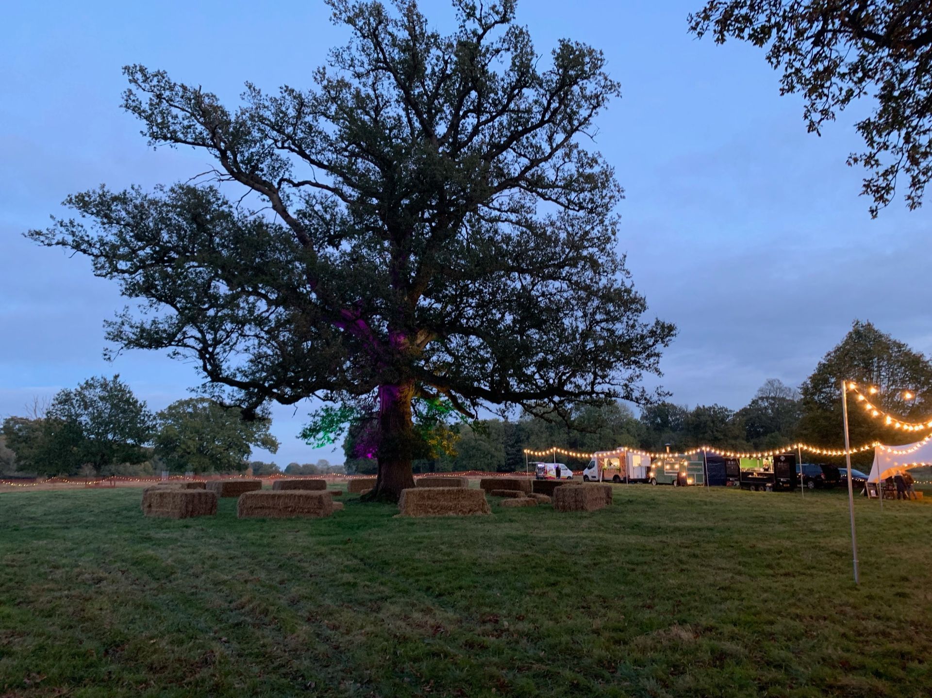 Large tree with hay bales seating area, event tents, and string lights in a field at dusk.