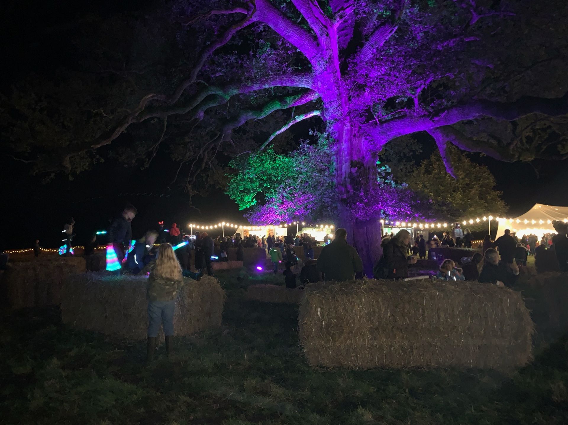Nighttime outdoor event: tree lit in purple/green. Hay bales surround gathering of people under string lights.