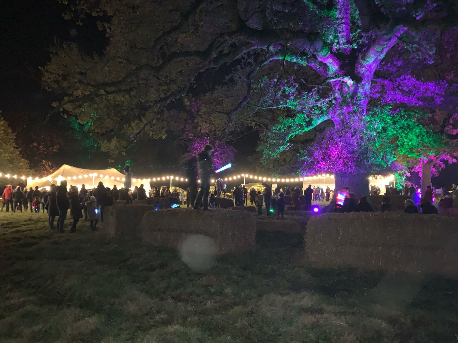 Night scene: Outdoor festival with lights, hay bales, and a tree lit with purple and green lights; people are present.