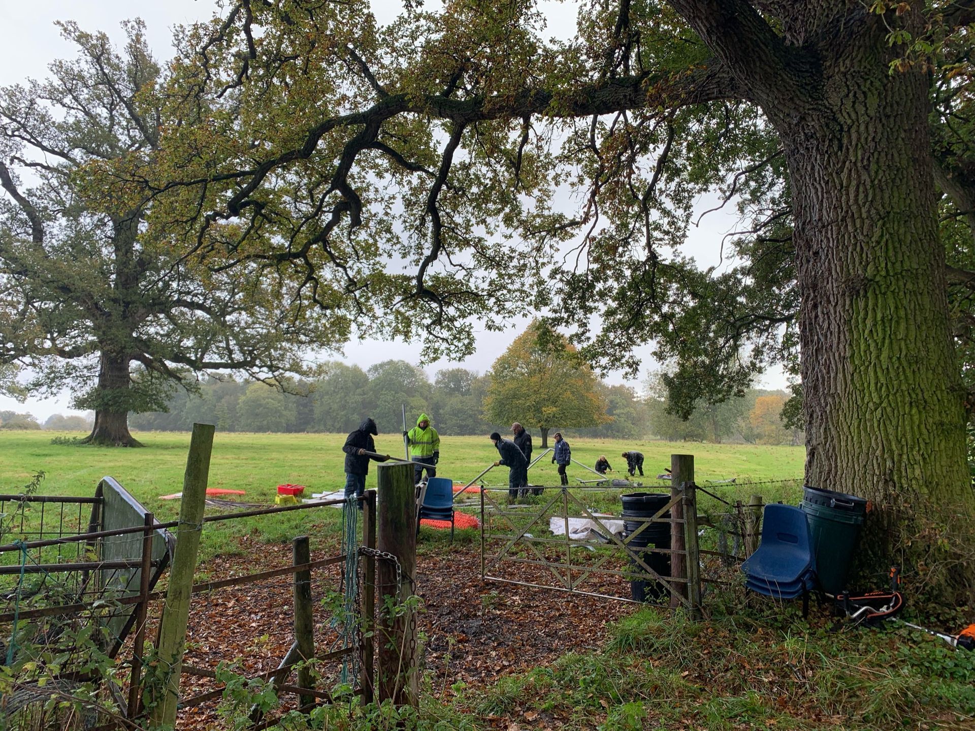 People are working in a field, some near a large tree, possibly a survey or research project. Overcast, fall setting.
