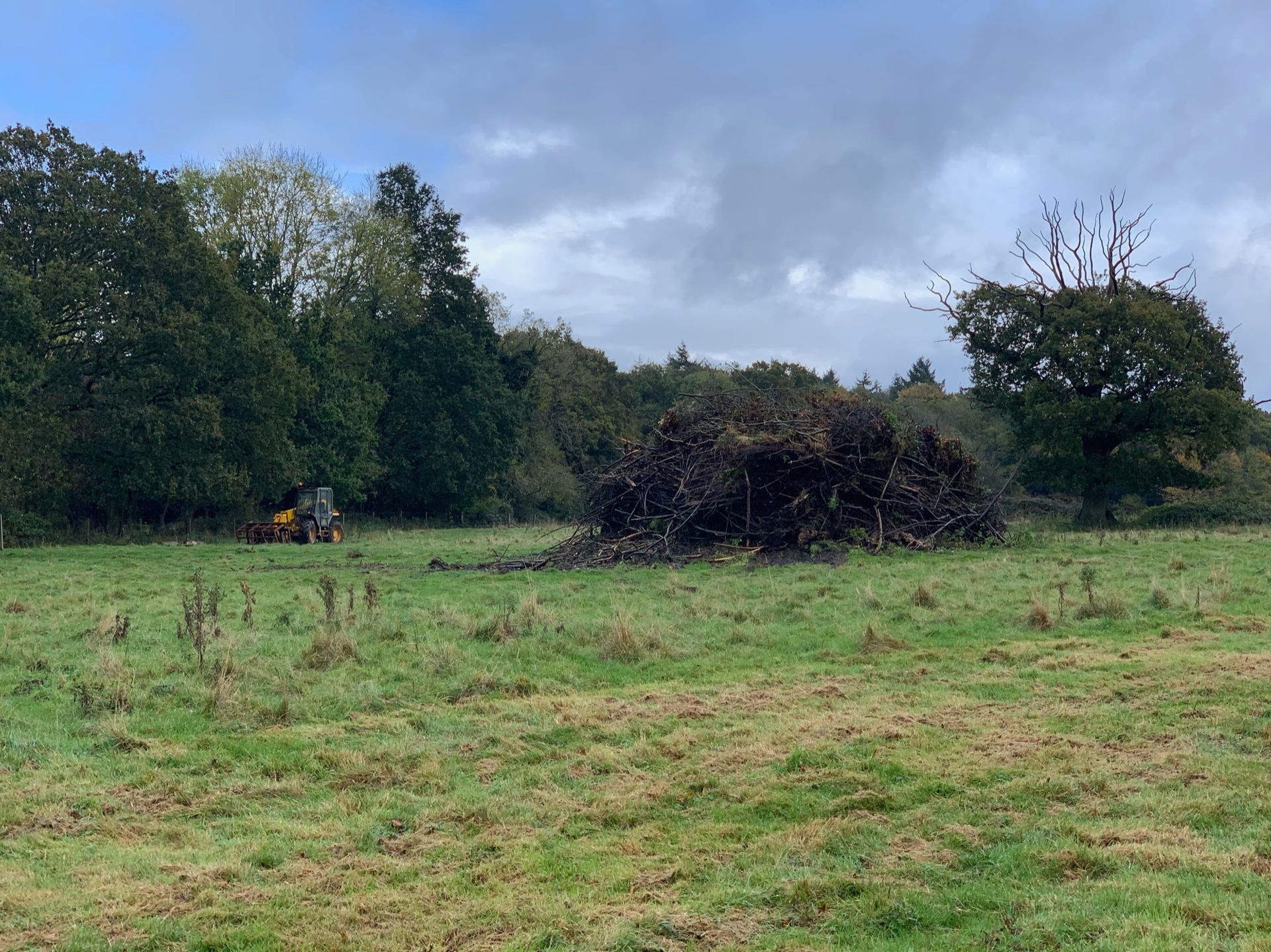 Field with a large pile of cut branches. A tractor works near the tree line under a cloudy sky.