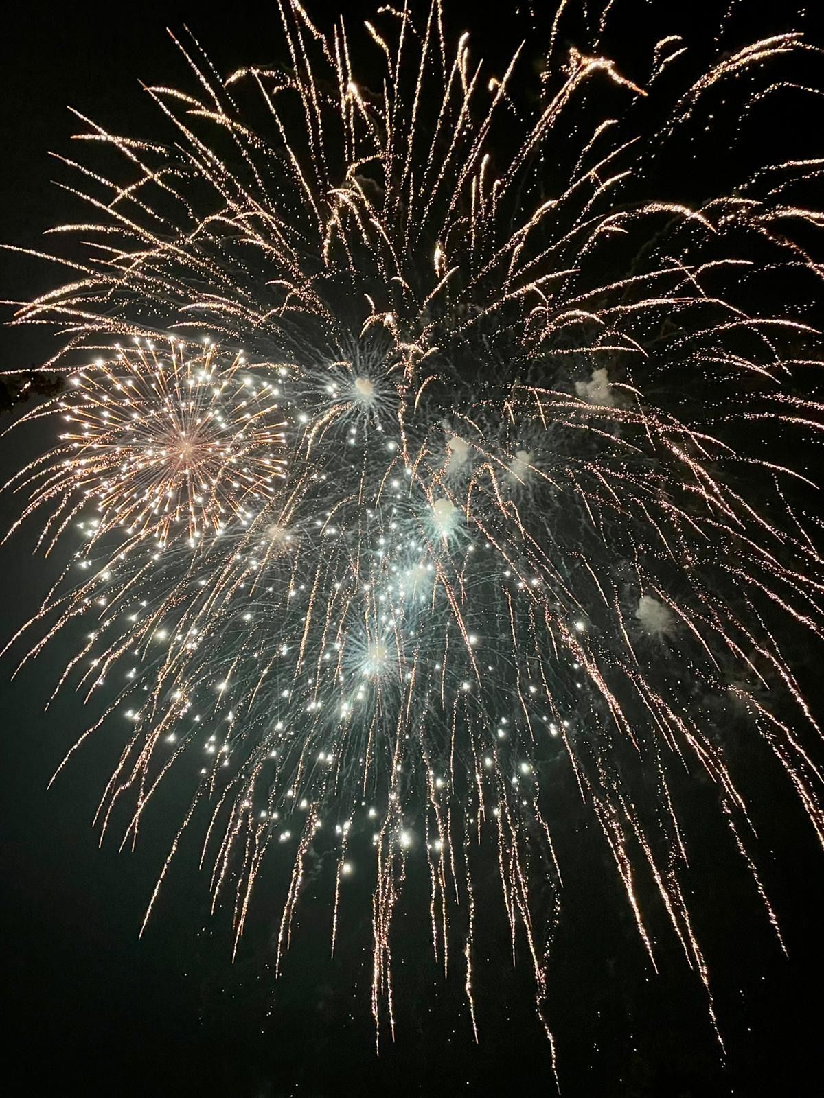 Fireworks exploding in the night sky, displaying white and golden bursts against a black background.
