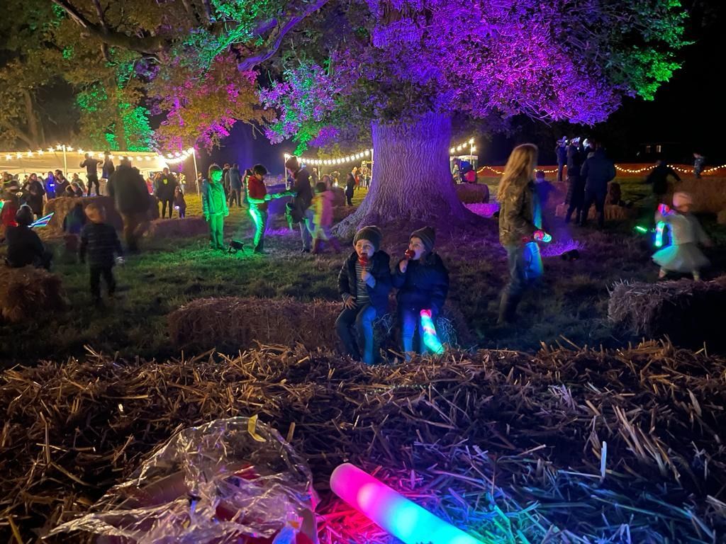 People gather outdoors at night under a tree lit with purple and green. Two sit on hay bales.