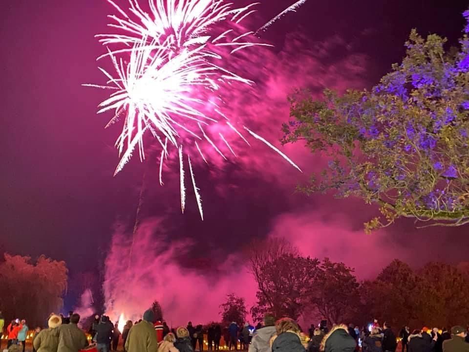 Fireworks explode over a crowd; pink and white bursts in a dark sky.