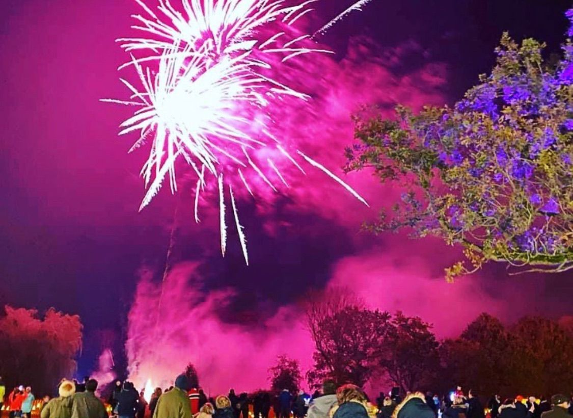 Fireworks exploding over a crowd of people at night, with a pink and purple sky.