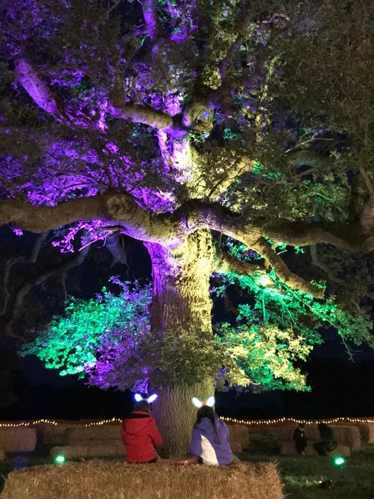 Two children with light-up ears sit on hay bales, gazing at a tree lit in purple, green, and yellow.