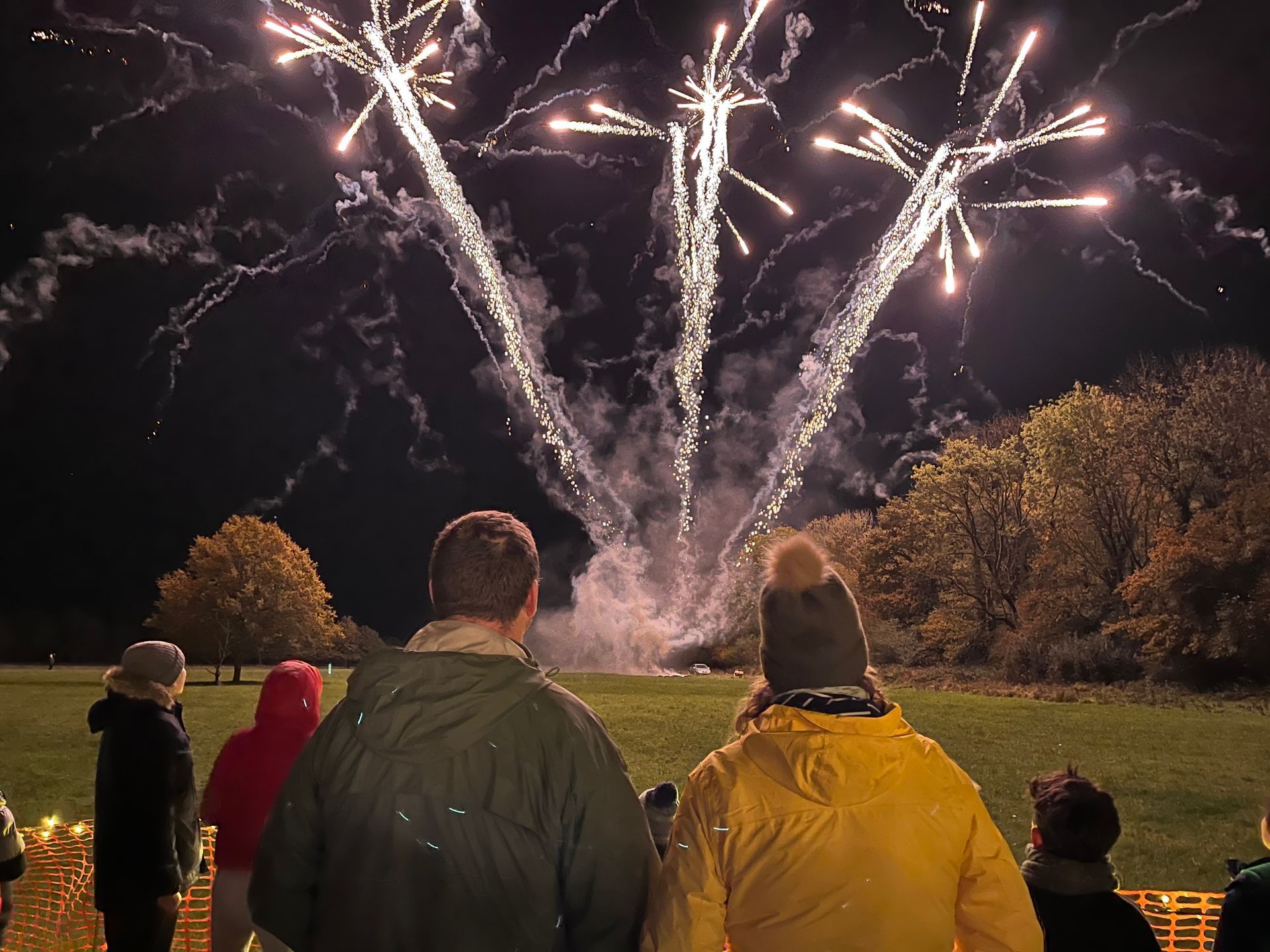 People watching fireworks explode in a night sky above a green field with trees.
