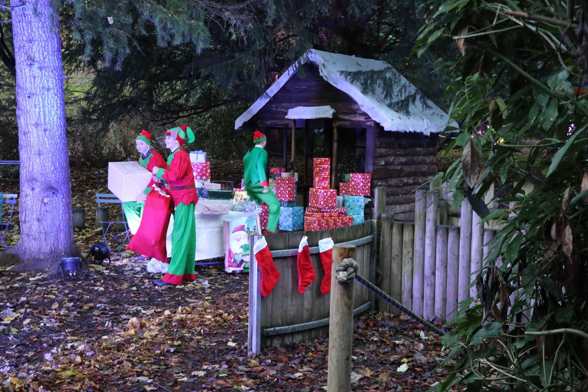 Elves in red and green wrap gifts near a wooden hut with presents and stockings in an outdoor Christmas setting.