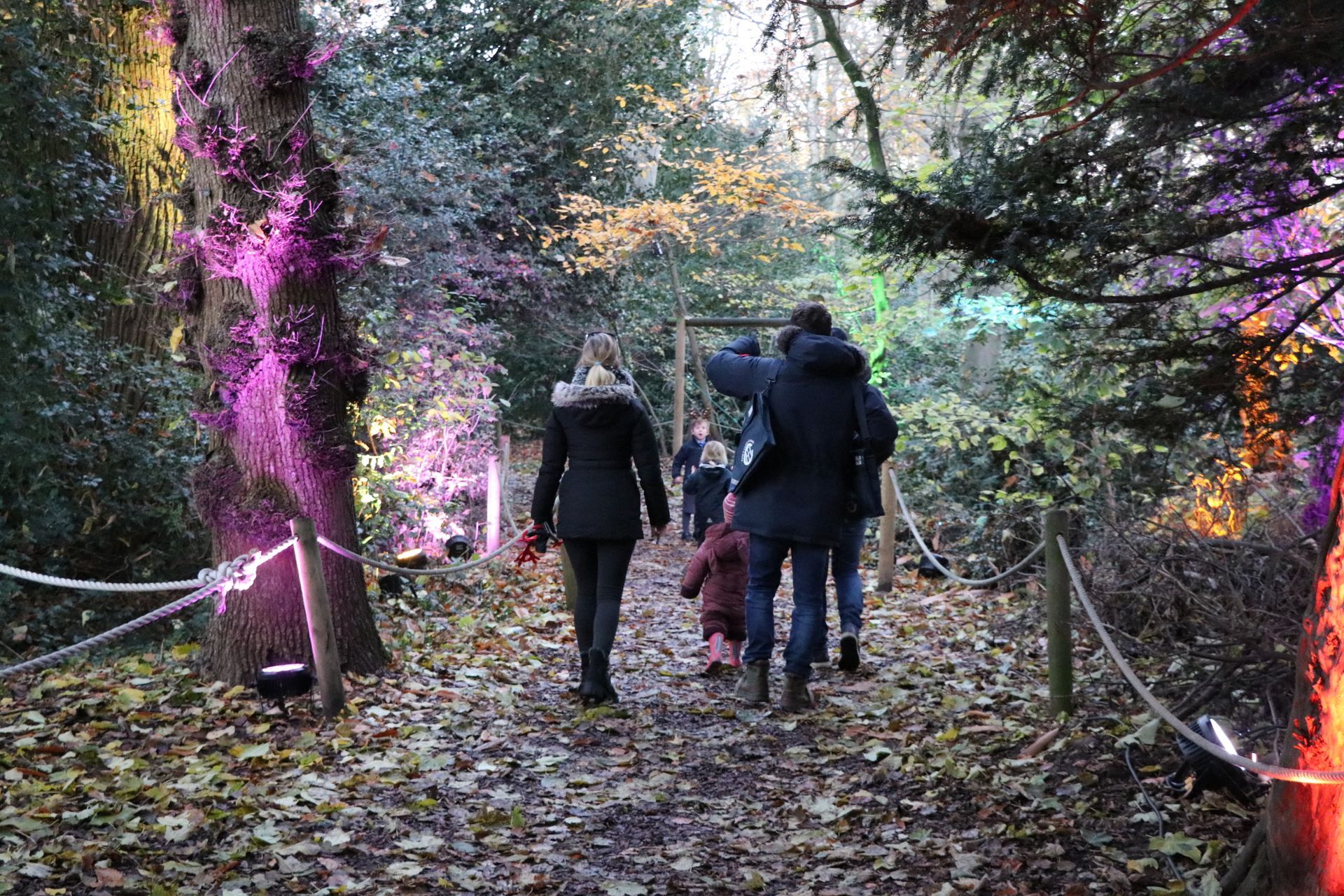 People walking along a path in a forest, lit with colorful lights.
