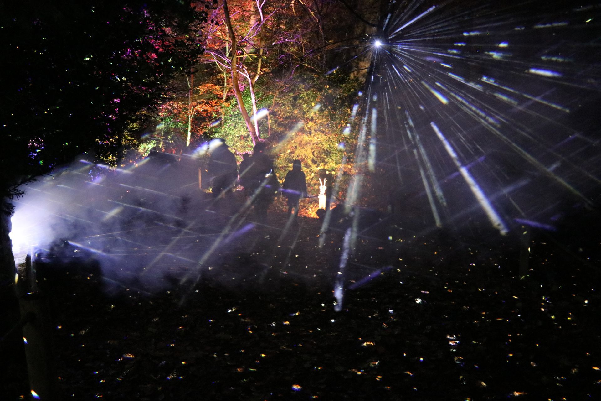 Laser light show in a dark forest, illuminating trees and figures with colorful beams and mist.