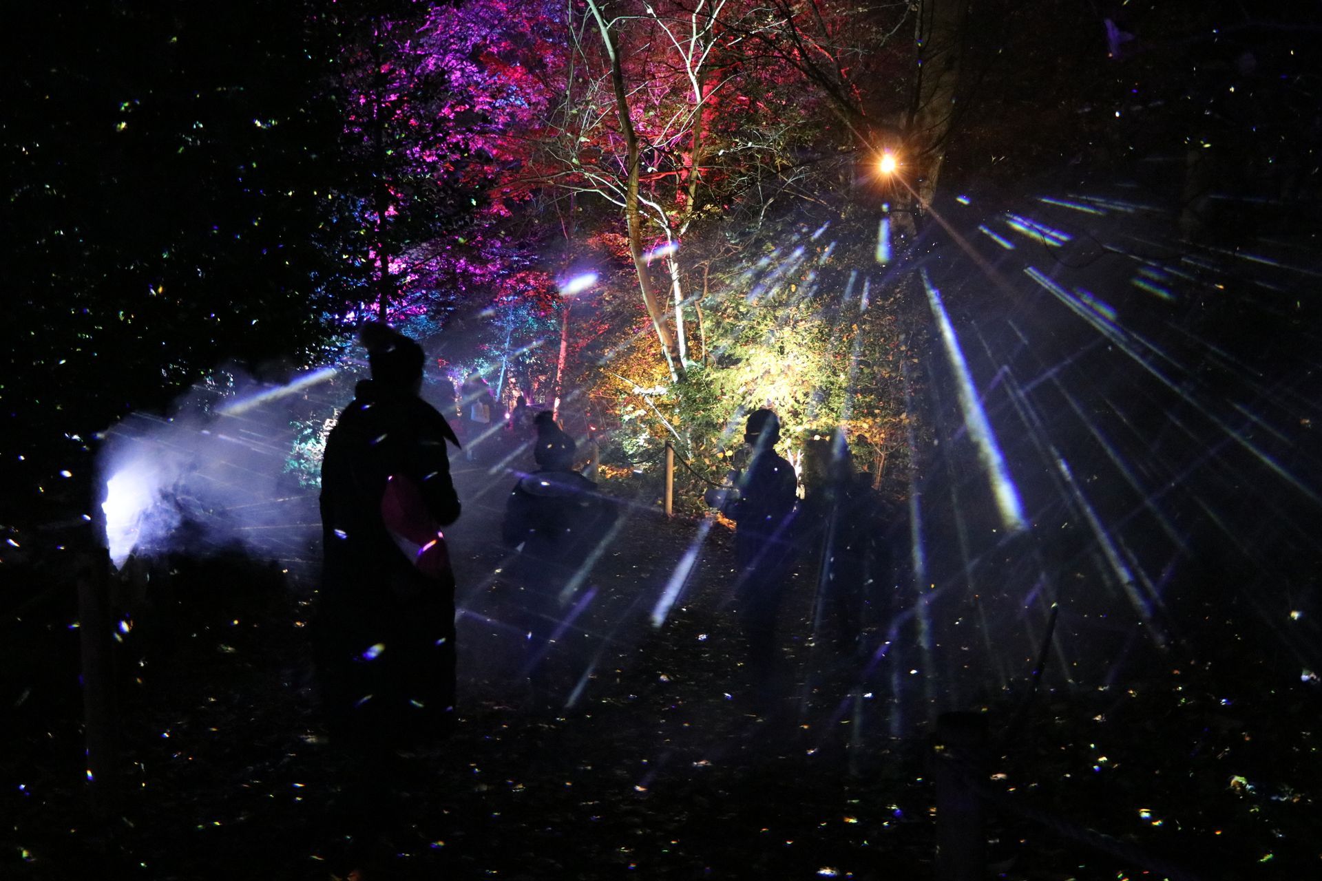 People in a forest illuminated with colorful lights and projected streaks.