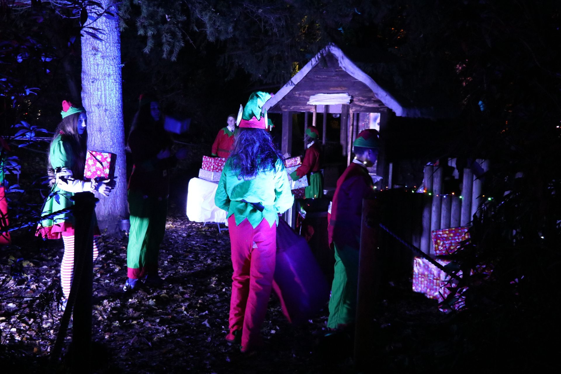 Elves at night, wearing green and red, next to a small wooden building and presents, lit by blue and purple lights.