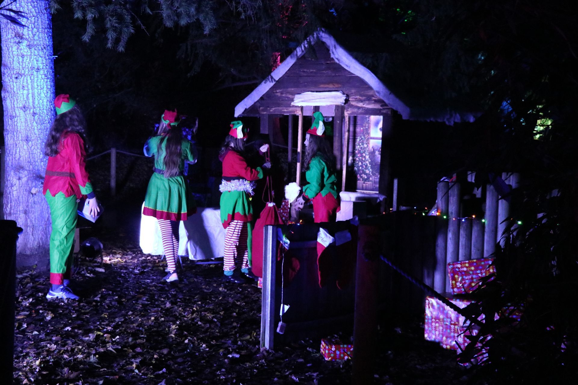 Elves in red and green costumes near a small, illuminated house at night.