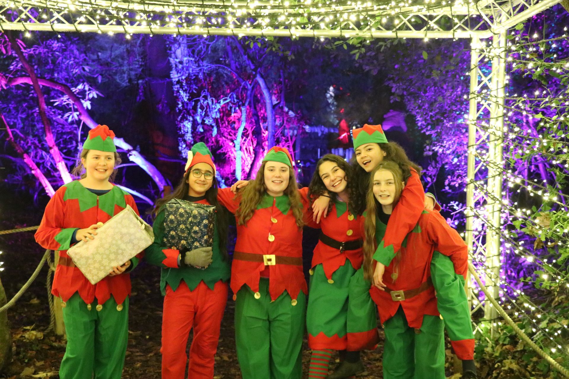 Six people in elf costumes pose with a light display; trees in background; red and green outfits.