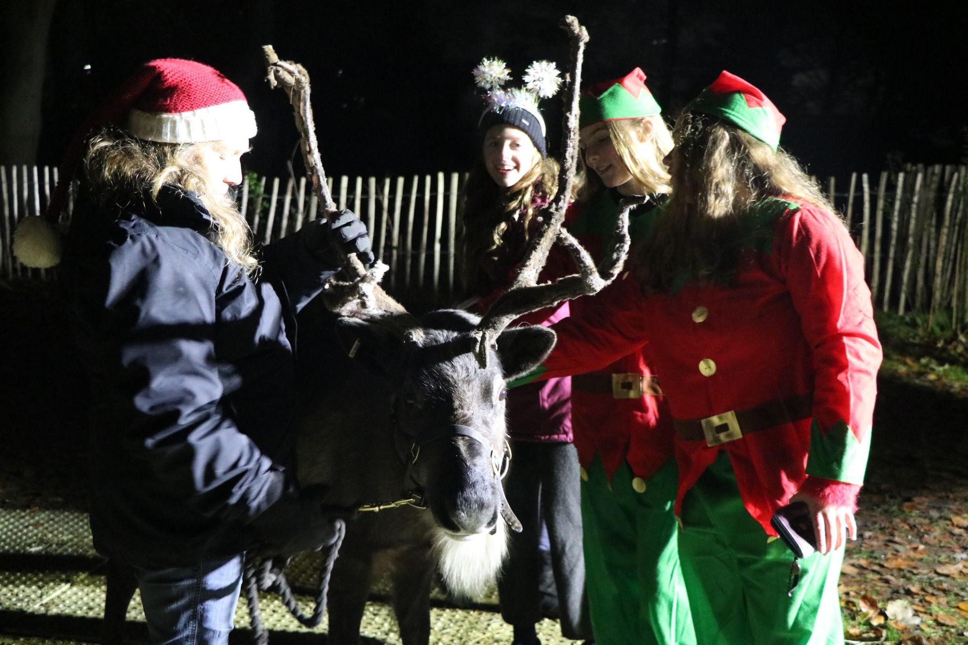 People in Christmas costumes petting a reindeer at night; forest background.