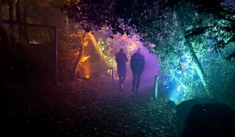 Two figures walk along a forest path lit by colorful spotlights, with trees and a mysterious ambiance.