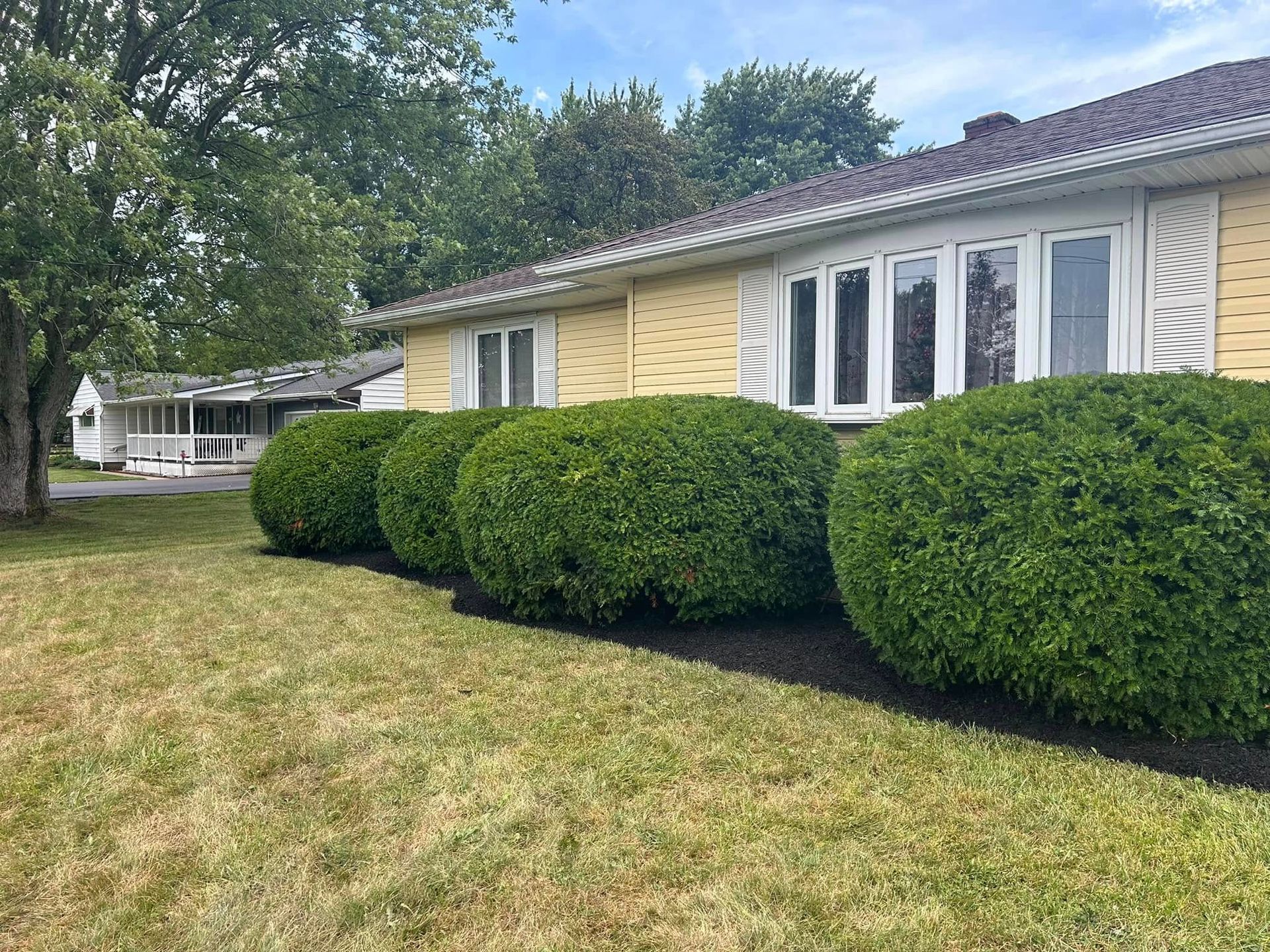 Yellow house with white shutters and trimmed bushes beside a grassy yard