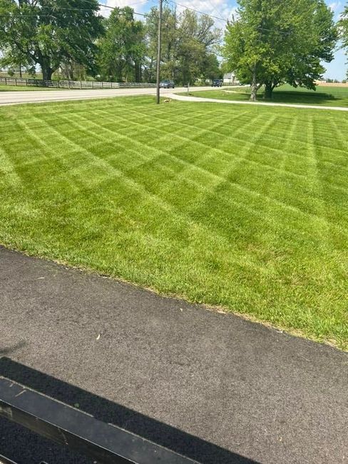 Freshly mowed green lawn with striped pattern beside a paved path in a park.