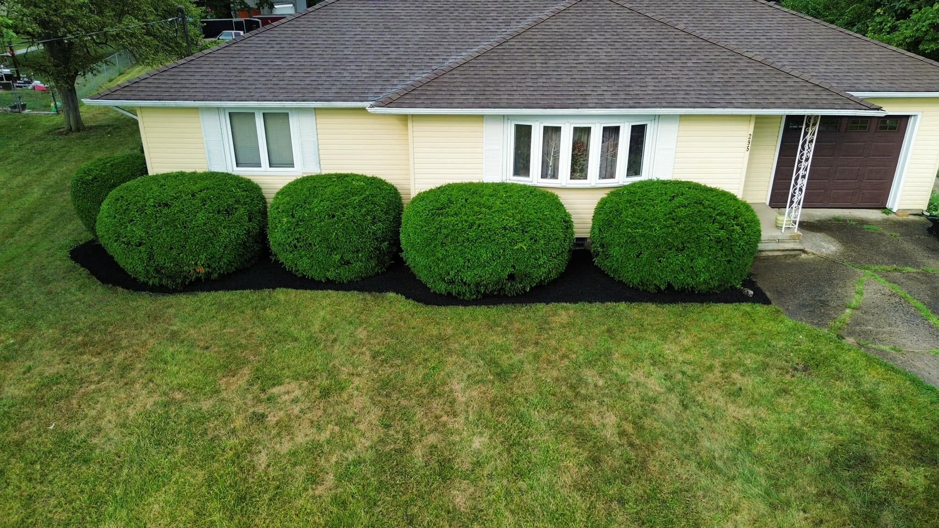 Single-story house with neatly trimmed round shrubs and a green front lawn