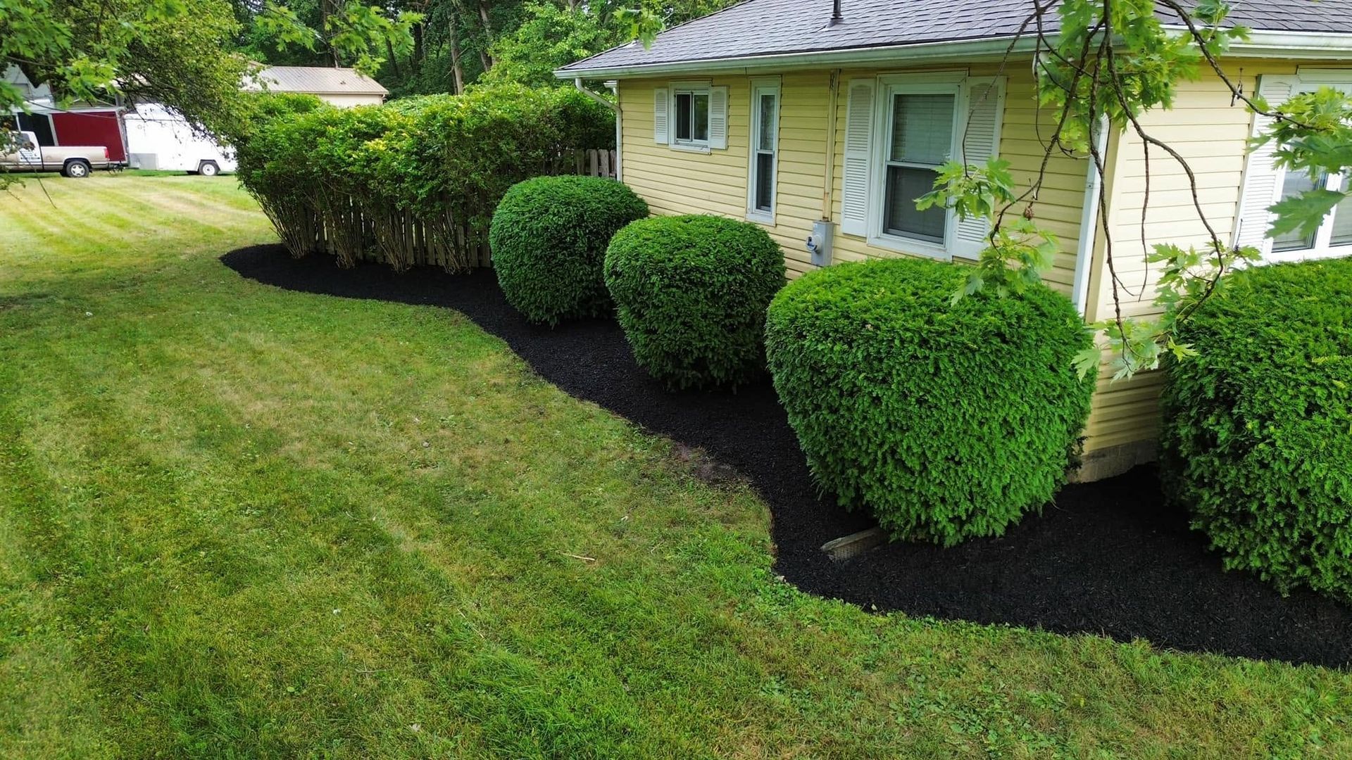 Neatly trimmed round shrubs beside a yellow house with a dark mulch bed and green lawn