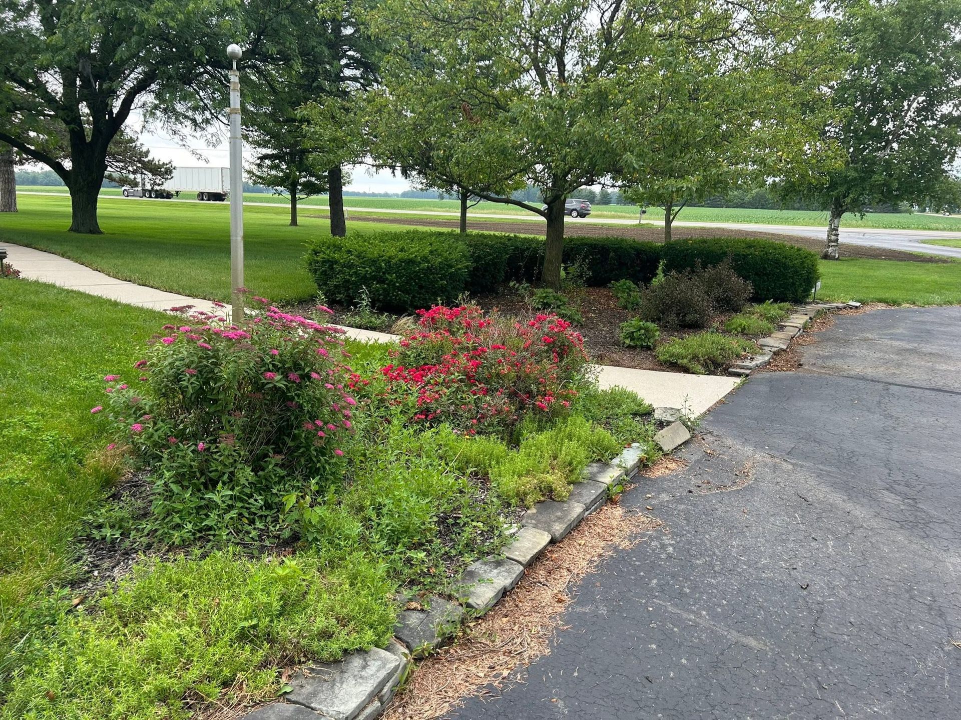 Curved garden bed with pink flowers and shrubs beside a paved road in a park