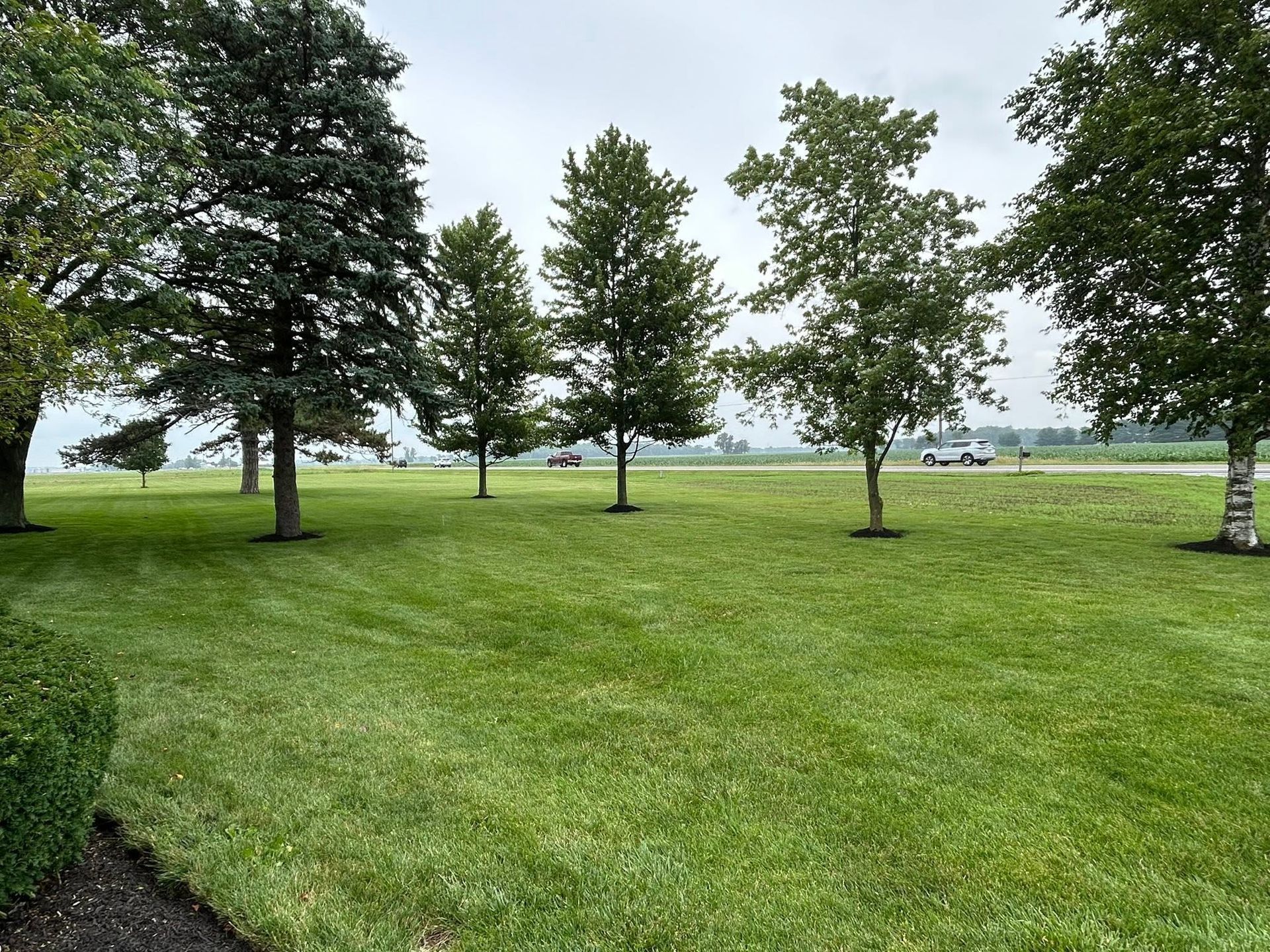 Grassy park with scattered trees under a cloudy sky, overlooking a distant body of water