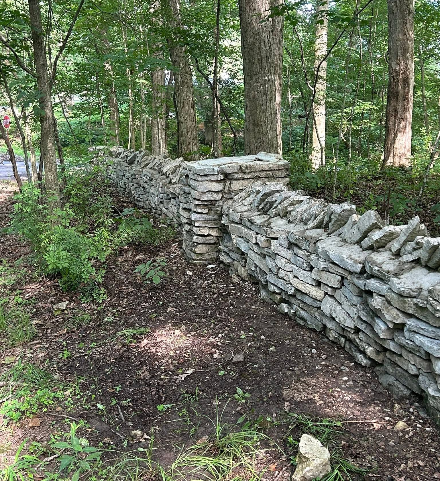 Stone wall winding through a wooded forest, with green foliage and dirt path beside it.