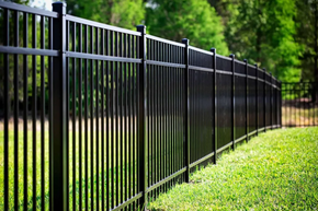 Black metal fence along a green grassy path with trees in the background