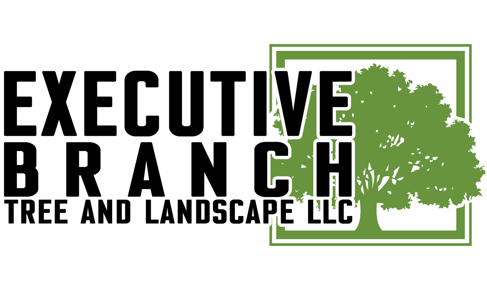 SEMrush Academy Certifications Executive Branch Tree and Landscape LLC logo with black text and green tree graphic
