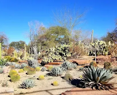 Ethel M Botanical Cactus Garden