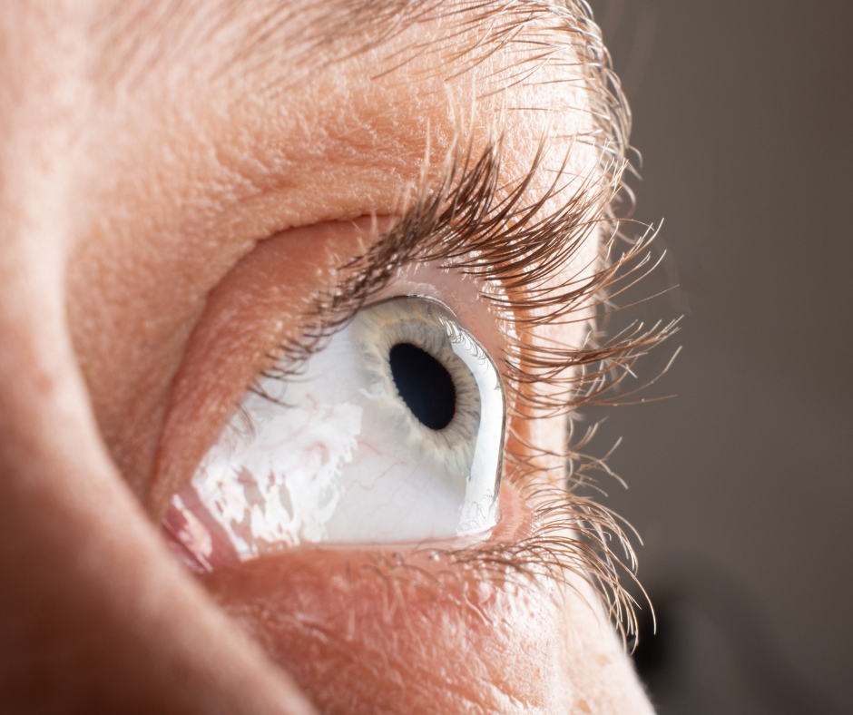 Cornea & External Diseases | South Shore Eye Care | Services