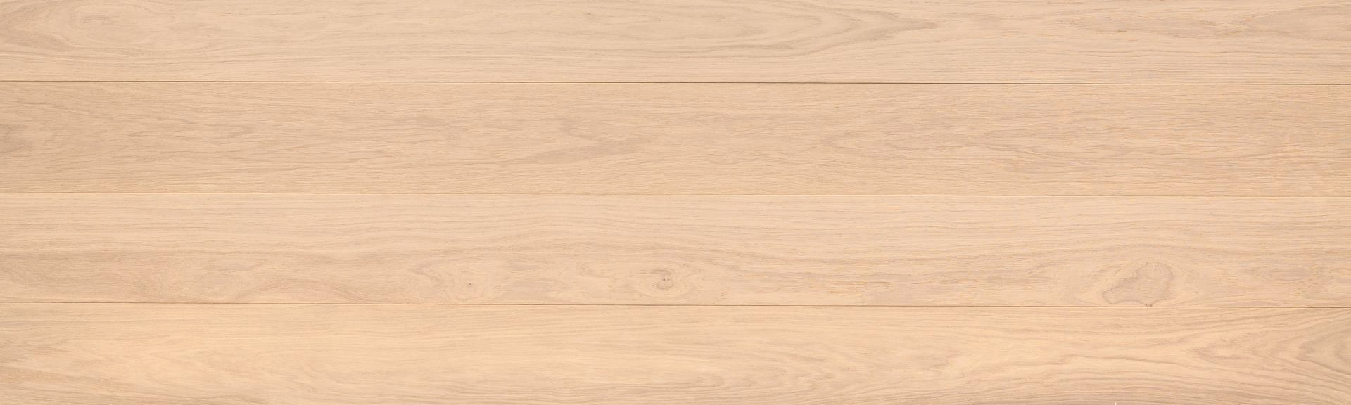 EUROPEAN OAK