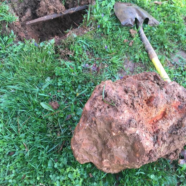 A shovel digs a trench in the grass next to a large, reddish-brown rock.