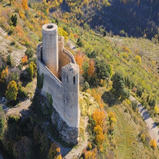 Vista aèria d'un castell dalt d'un turó envoltat d'arbres.
