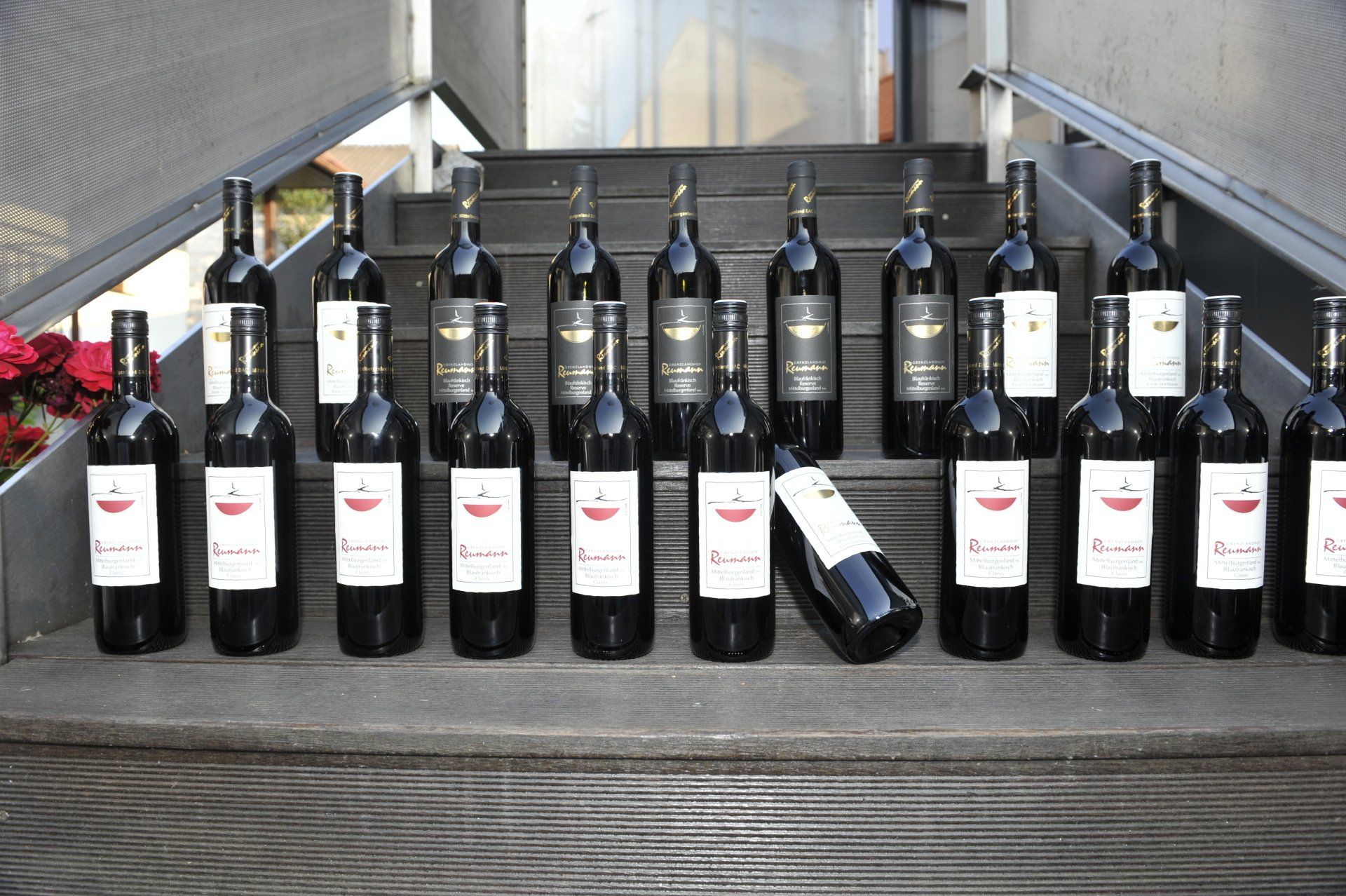 Weinsortiment von Grenzlandhof Weingut-Reumann