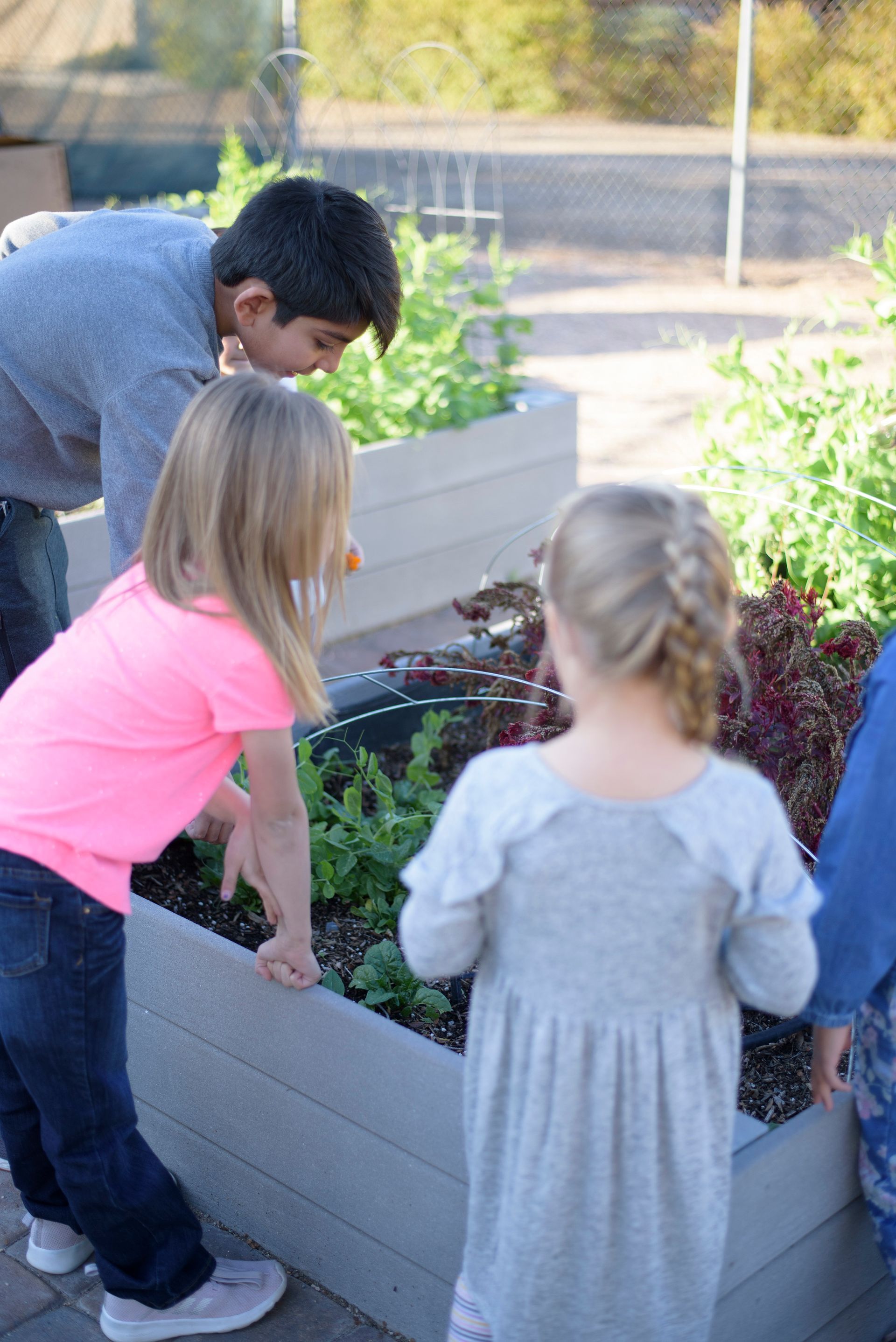 Three children lean over a raised garden bed, looking at plants and soil outdoors.