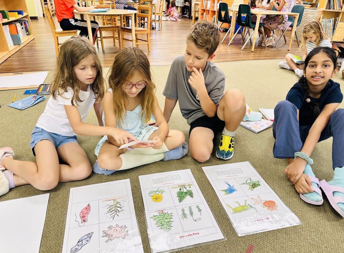 Children sitting on the floor, looking at and sorting nature drawings on paper in a classroom.