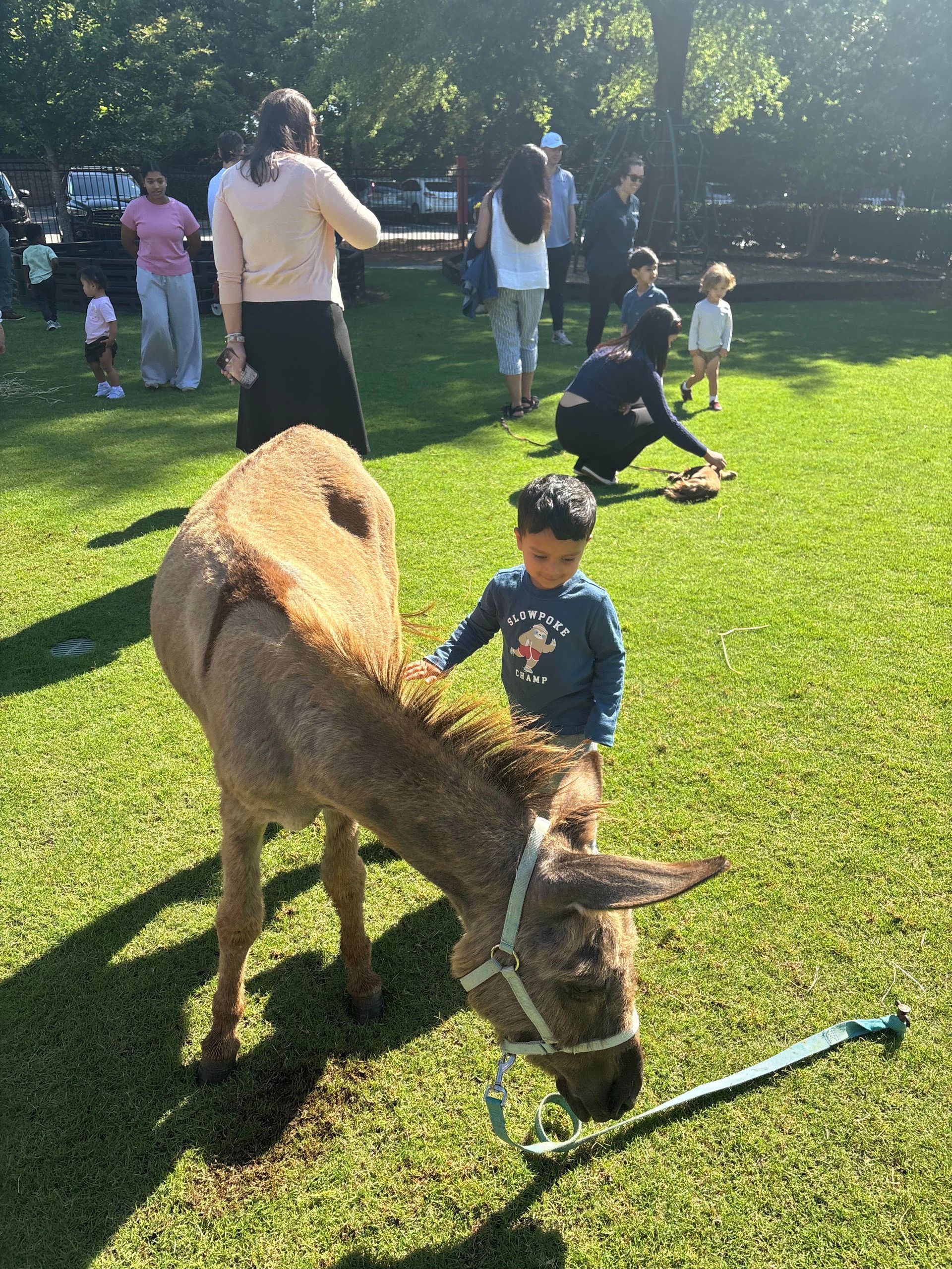 Montessori children petting zoo interactive
