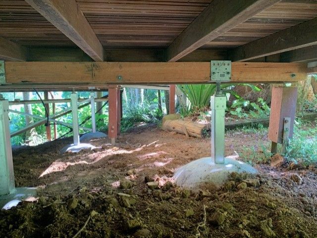 Under a raised wooden deck, muddy ground and support posts in a wooded outdoor area