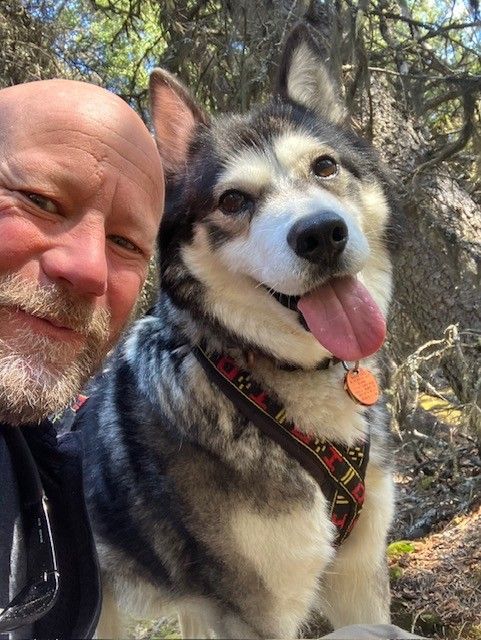 A man and a dog are sitting in a car