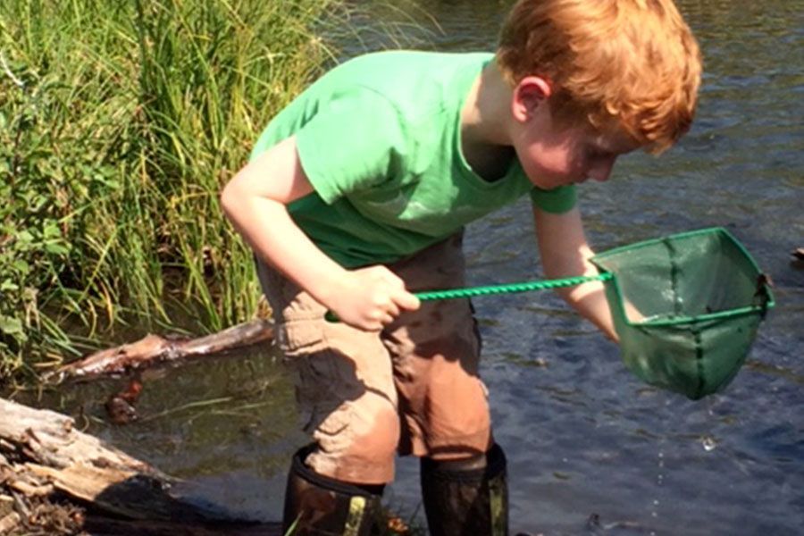 A young boy in a green shirt is fishing in a stream.