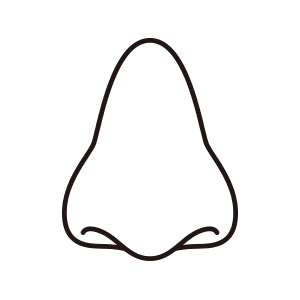 DR. JESÚS DOMINGO MENNAH ABDO