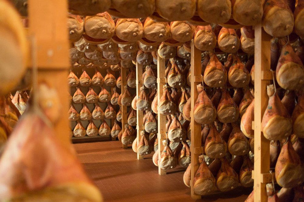 Cured hams hanging in a curing room, rows of them suspended from wooden racks.