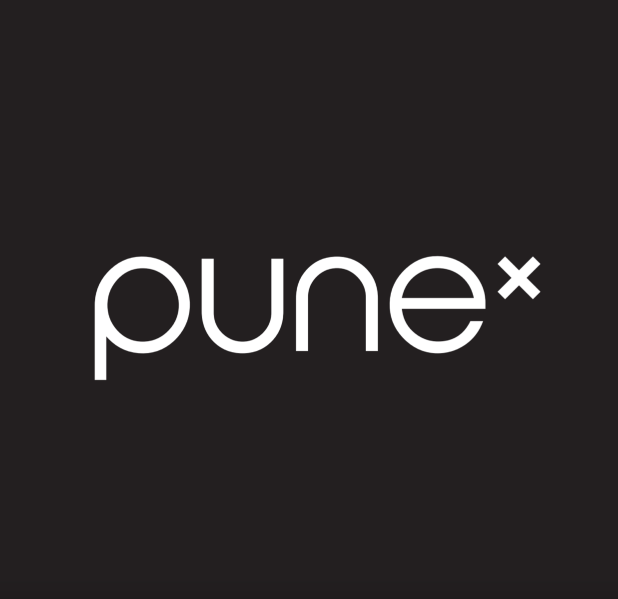 Pune cosmetics logo
