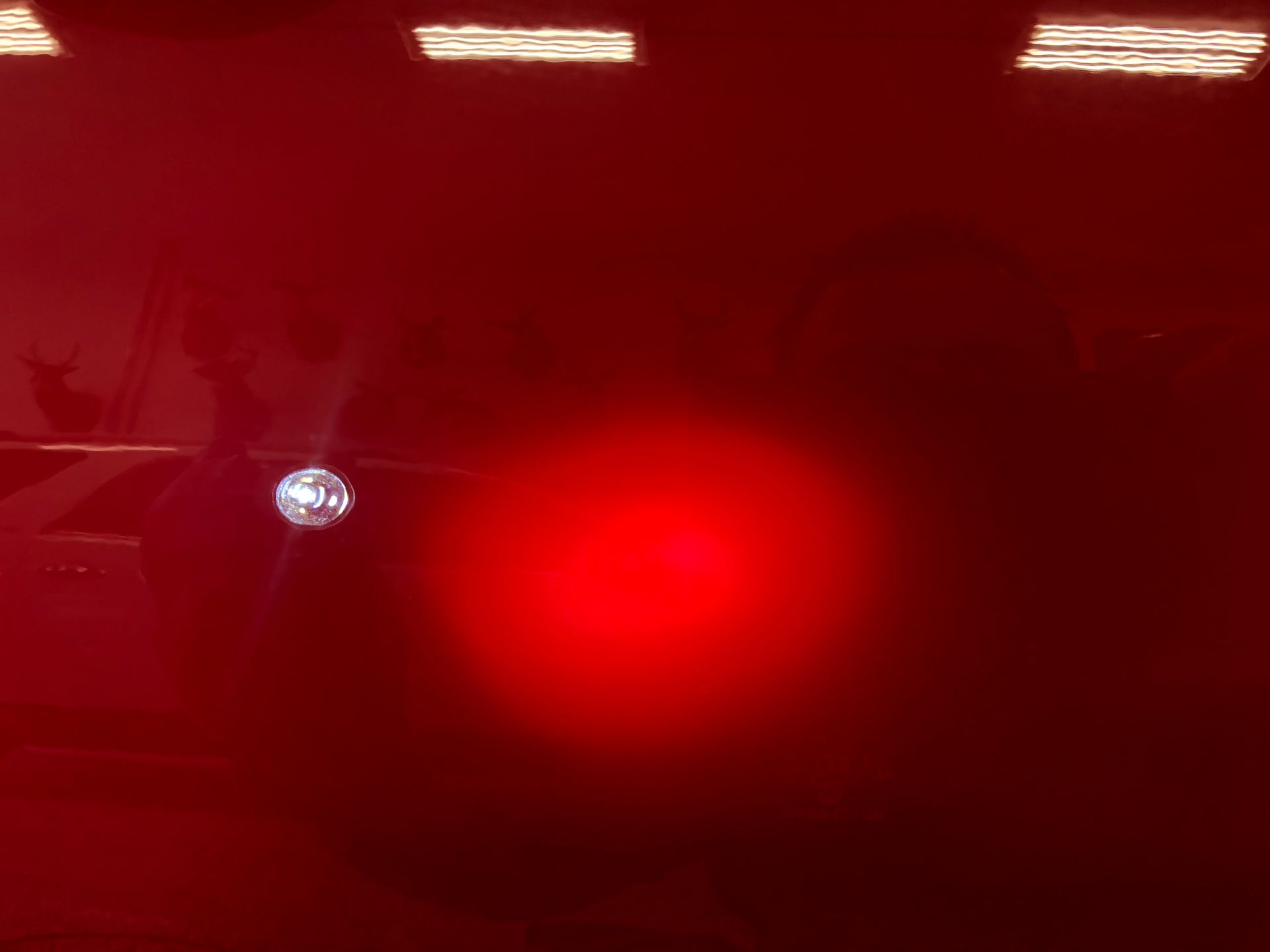 Paint Correction 