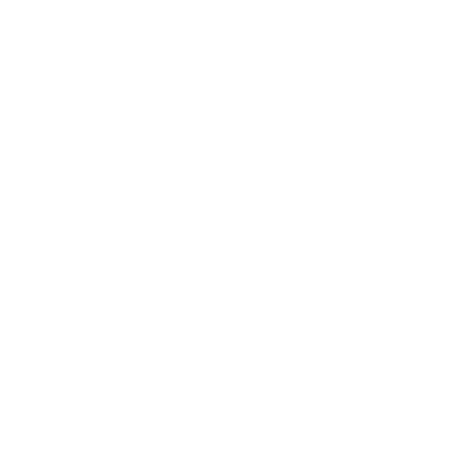 AEROCOCONOR - PASAPORTE