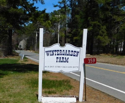 Roadside sign for Antiques at Wintergarden Farm, with white fence and trees beside a paved road.
