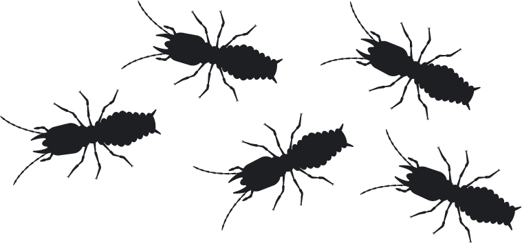 Five black silhouettes of termites scattered on a white background.
