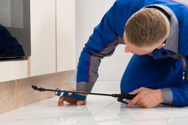 Worker with providing pest control services at a residential home.